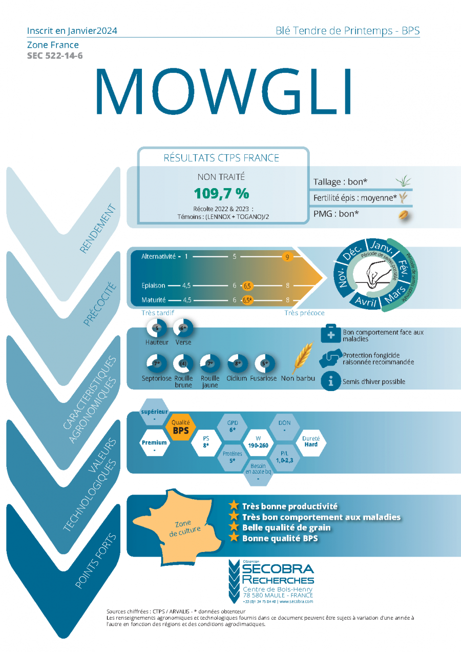 Mowgli - Blé Tendre de Printemps - BPS